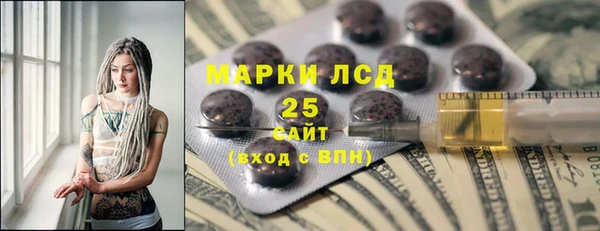 шишки Осинники