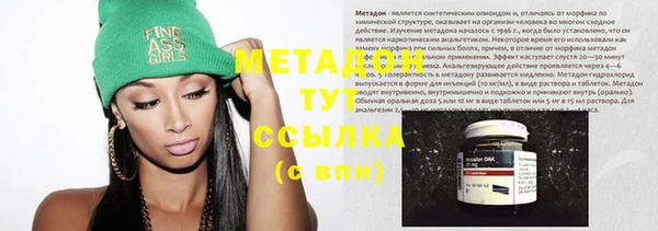 шишки Осинники