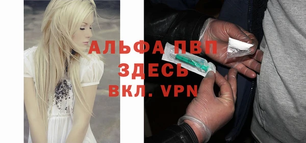 дмт Осташков