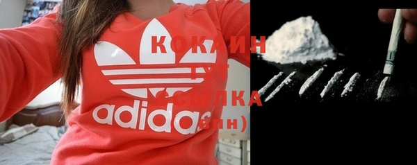 шишки Осинники