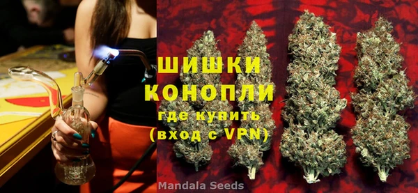 дмт Осташков