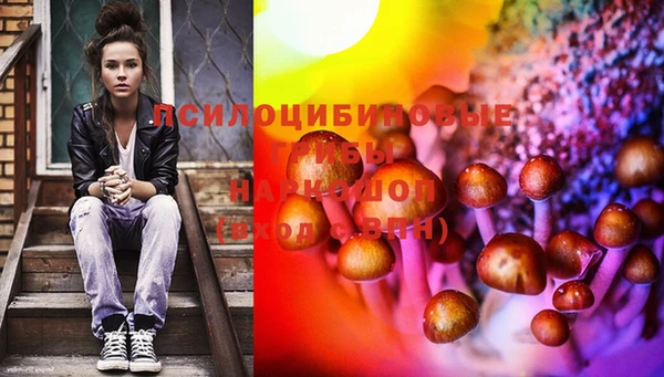 шишки Осинники