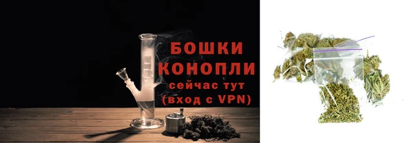 шишки Осинники