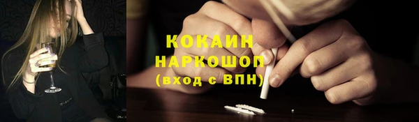 дмт Осташков