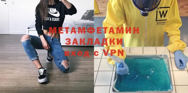 шишки Осинники