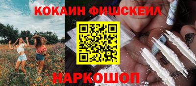 МДПВ Камышлов