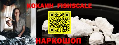 МДПВ Камышлов