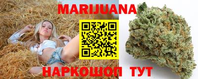 индика Кандалакша