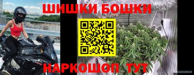 индика Кандалакша