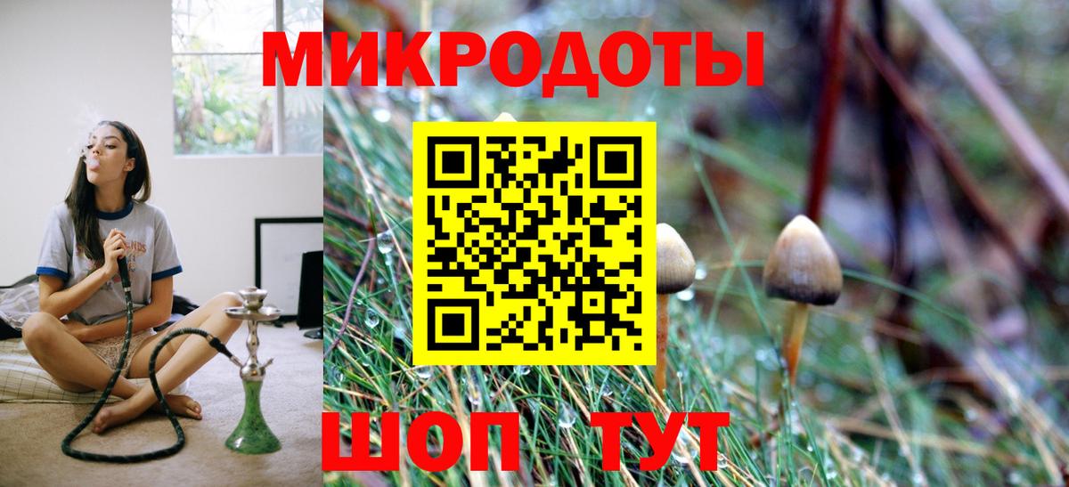 наркота  Ялуторовск  Галлюциногенные грибы мухоморы 