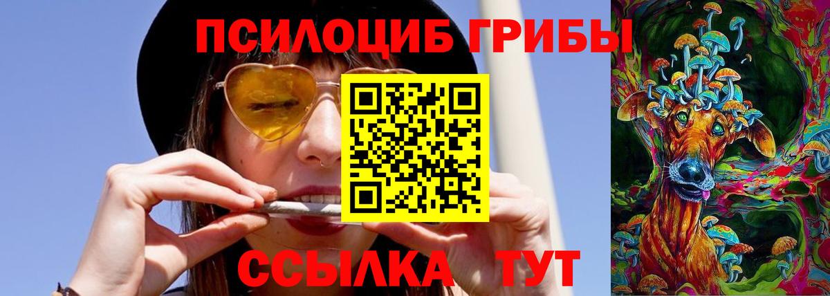 Псилоцибиновые грибы GOLDEN TEACHER  Вход с VPN  Ялуторовск  Псилоцибиновые грибы Psilocybine cubensis 